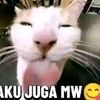 juna54770
