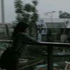 alleana612