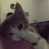 alinaa_.88