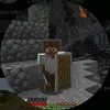 radexu_borne