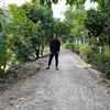 thuannguyen.63