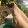 janka_531