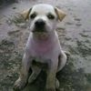 user91351299350207