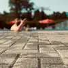 s_scc1