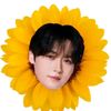 eli201817