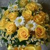 omeawladi12