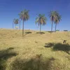 jocidivalairespar