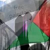 mahmoudelsaey02