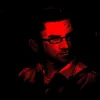 gulled_2011