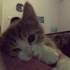 lorenn_30