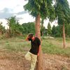 loyalboy...............0