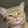 sirbeaney