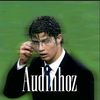 audinhoz_