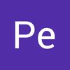 pe.ppe19