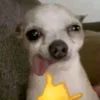 dommii.viillan