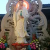 banhtran235