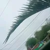 jade_0fficial