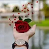 uz_slg_a