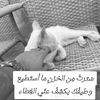 user3385942202885
