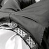 lebriseur13