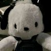 xan_201024