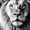 user836197812048