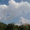 .liz.achg