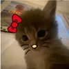 ._miawmiaw04