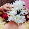 rozina2461