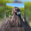 eifo._.05