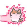 hello_imstar1