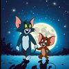 tomnjerry931