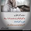 mhussain8316