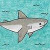 mrshark501