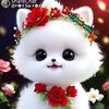 abdullah1234567890alilov