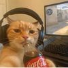 vaky_221