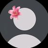 user5431263361163