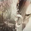 qi_li_zxxz