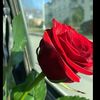 zeyneb9992