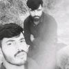 kashmir2372