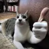 loll122237
