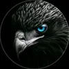 ali.ayad928