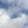 desconocido895_