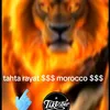 abdelmonime.aamza