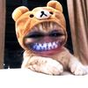 user0606199600087