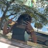 brooklynderose809
