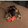 kendall_279