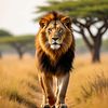 paul2malesieadjig