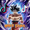 goku.sama02