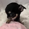 mimih_170